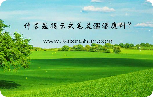 指示式毛發(fā)溫濕度計